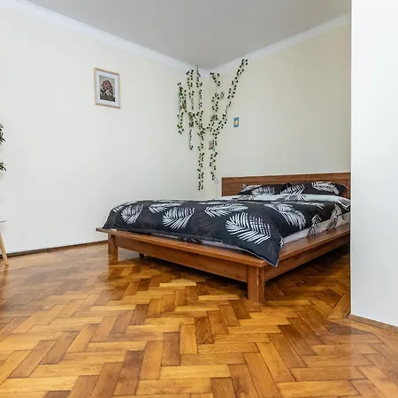 Supreme Deer Apartment Brasov Exterior photo